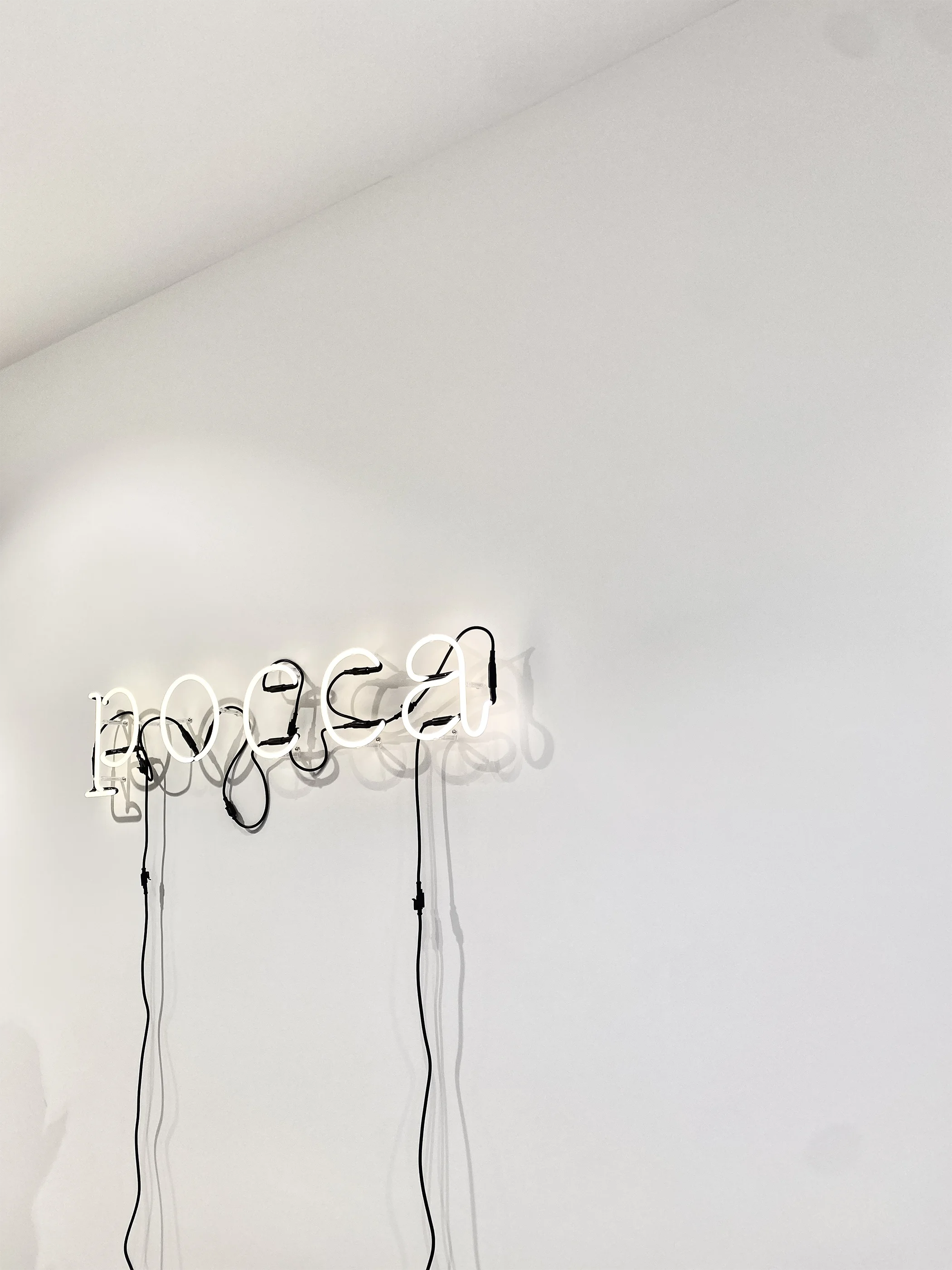 Allestimento retail design Pocca Burgos – spazi espositivi e branding