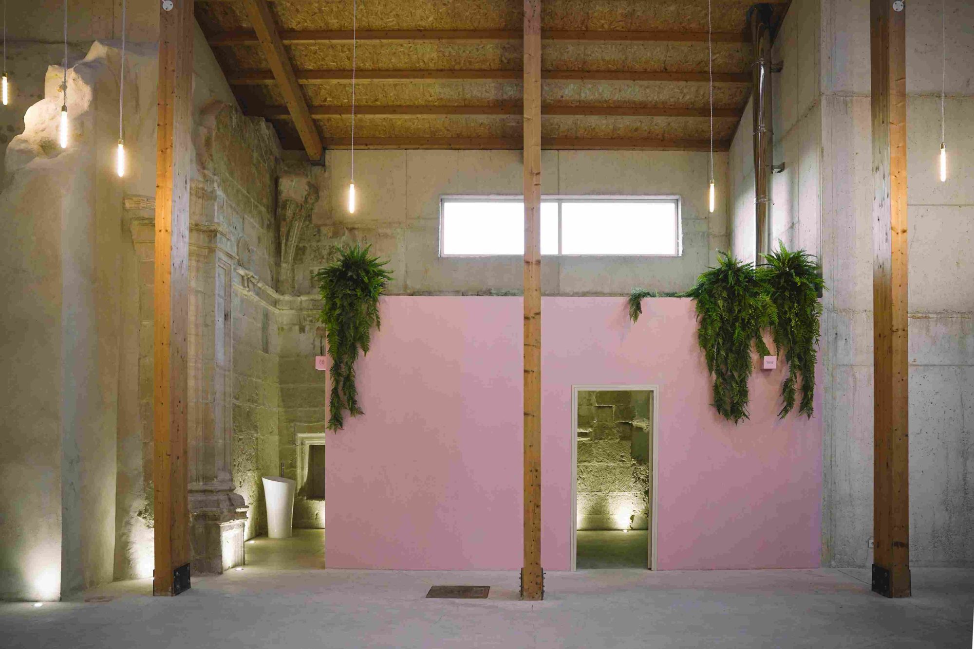 Pink volume with hanging ferns between timber columns and historic walls