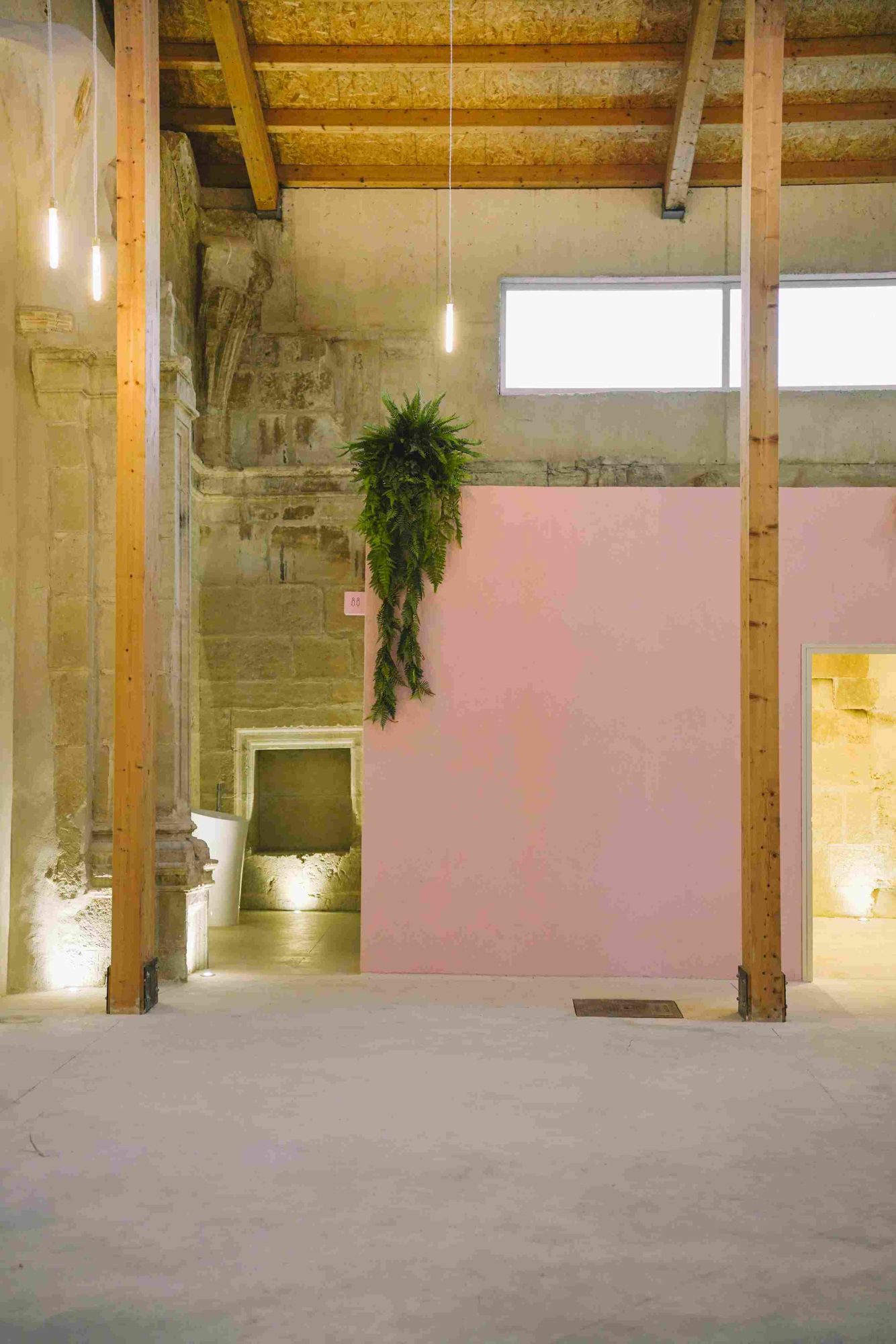 Entrance to the pink volume with ferns and grazing light on the stone